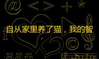 自从家里养了猫,我的智商是越来越不够用,每天找猫猫让我头秃